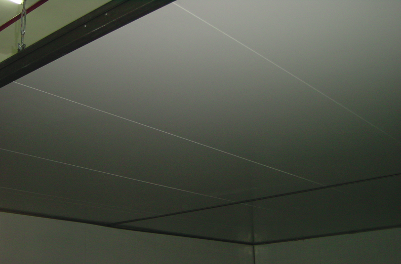 凈化T-grid吊頂施工實拍圖片
